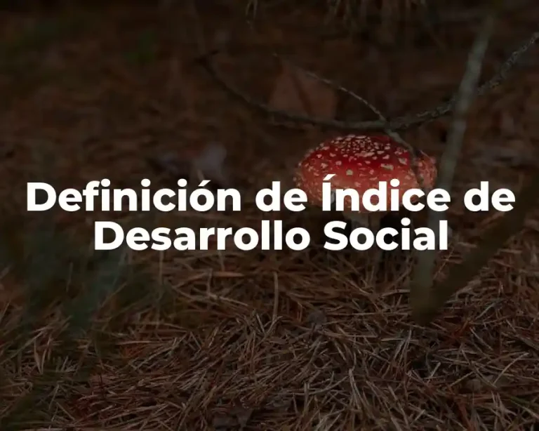 Definición de Índice de Desarrollo Social