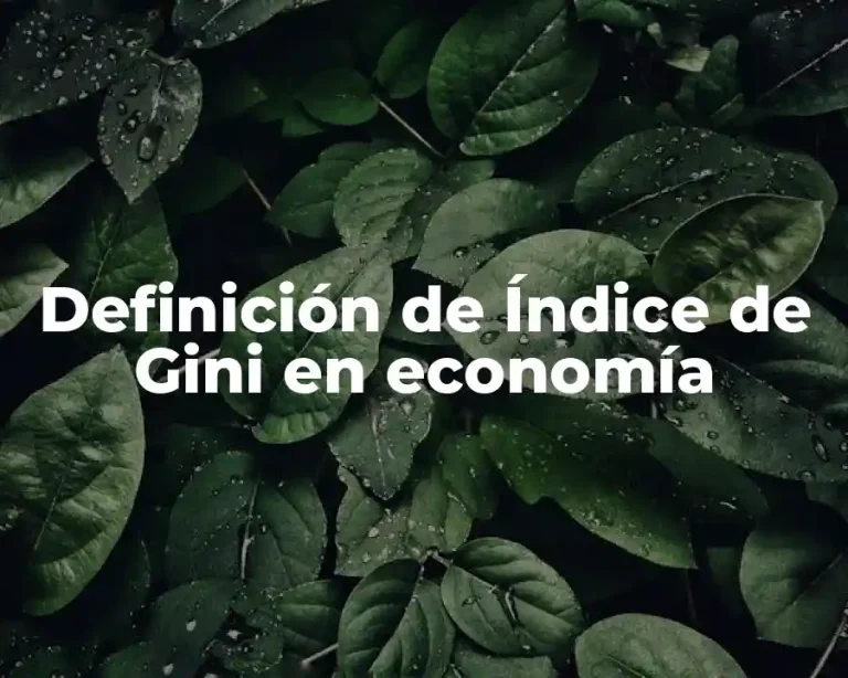 Definición de Índice de Gini en economía