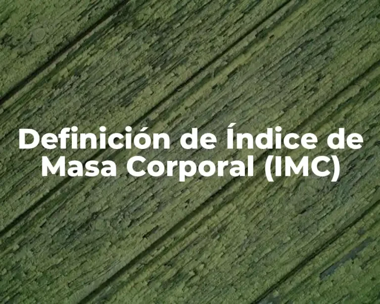 Definición de Índice de Masa Corporal (IMC)