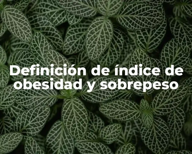 Definición de índice de obesidad y sobrepeso