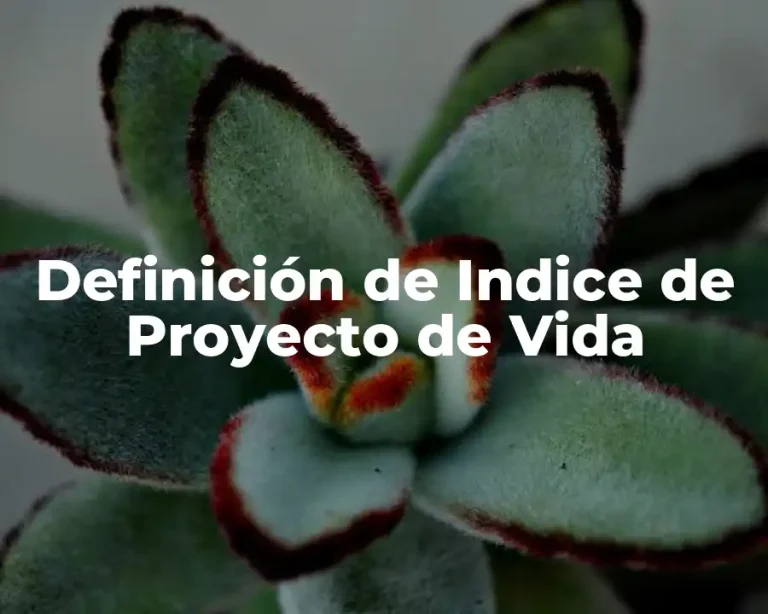Definición de Indice de Proyecto de Vida