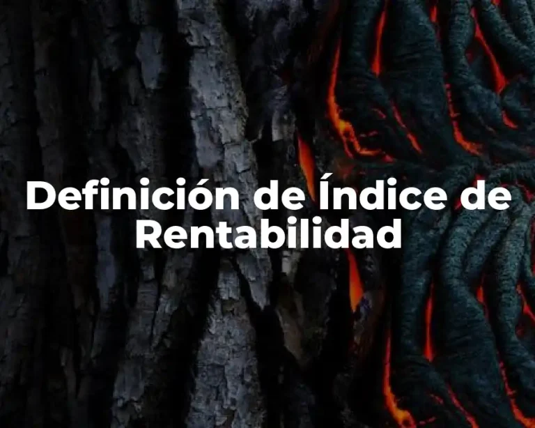 Definición de Índice de Rentabilidad