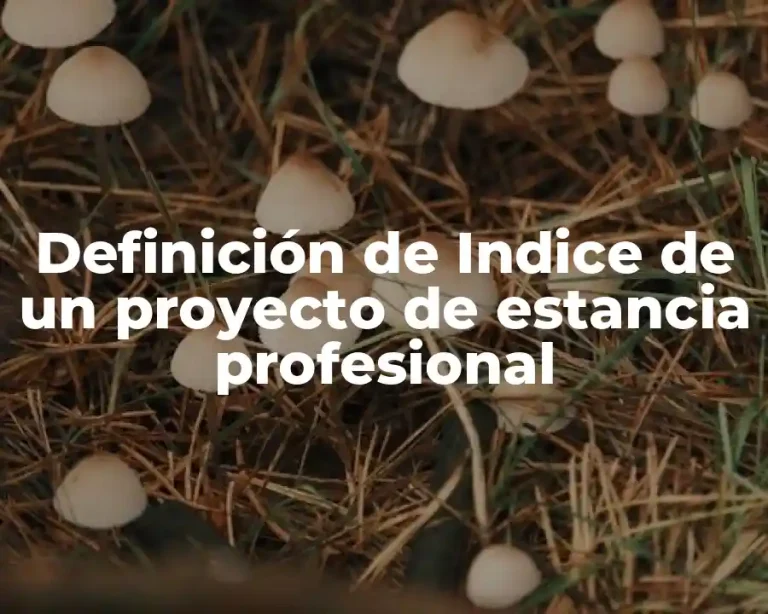 Definición de Indice de un proyecto de estancia profesional