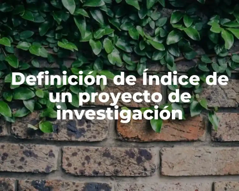 Definición de Índice de un proyecto de investigación