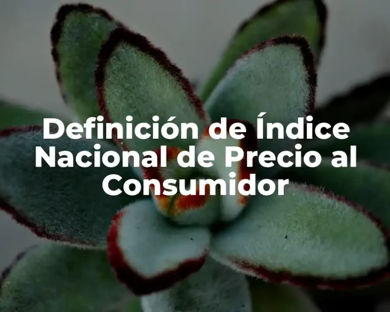 Definición de Índice Nacional de Precio al Consumidor