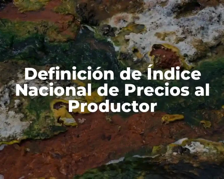 Definición de Índice Nacional de Precios al Productor