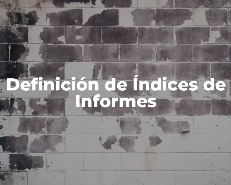 Definición de Índices de Informes