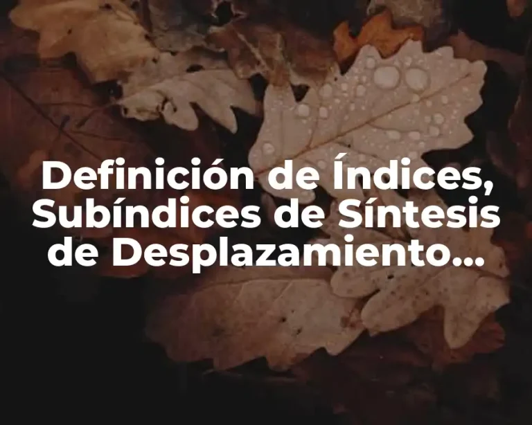Definición de Índices, Subíndices de Síntesis de Desplazamiento Simple