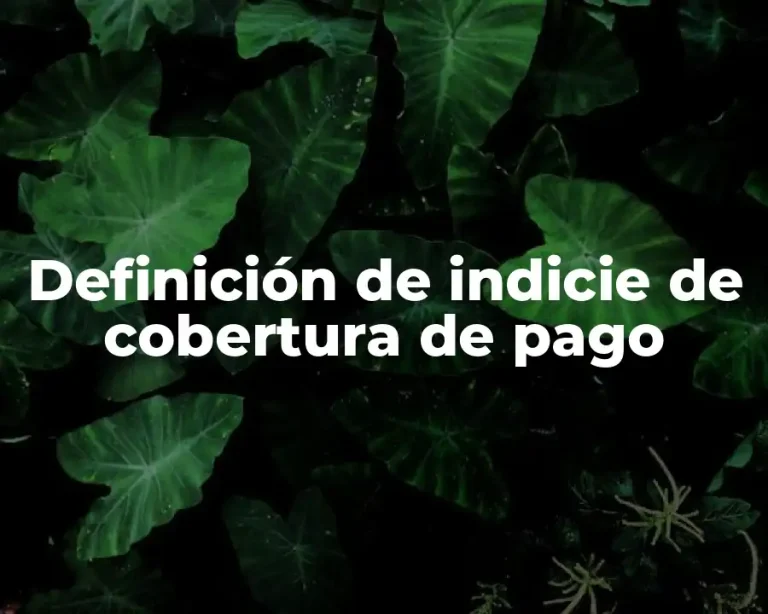 Definición de indicie de cobertura de pago
