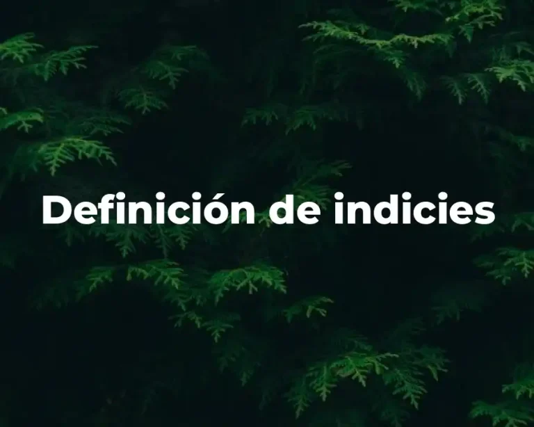 Definición de indicies