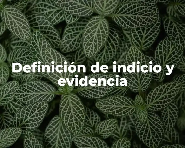 Definición de indicio y evidencia