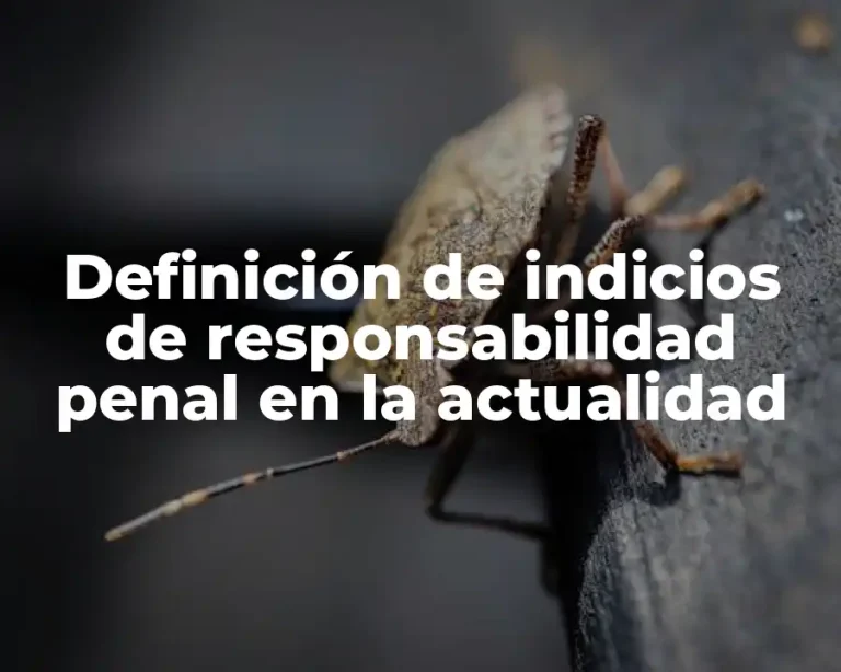 Definición de indicios de responsabilidad penal en la actualidad