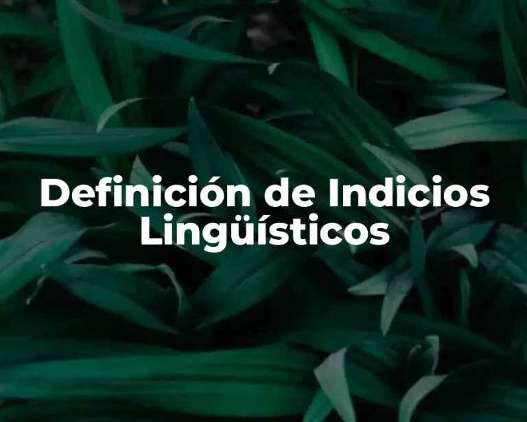 Definición de Indicios Lingüísticos