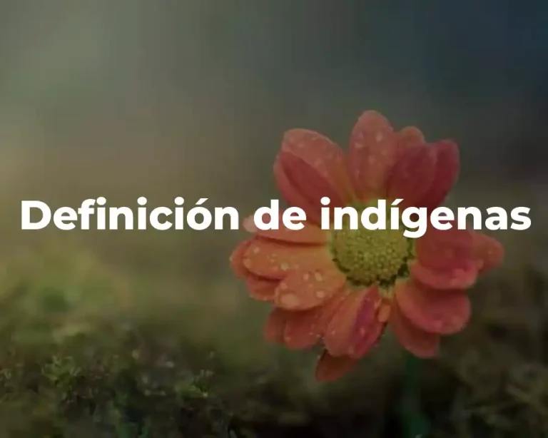 Definición de indígenas