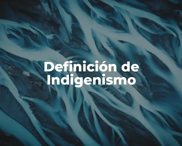 Definición de Indigenismo