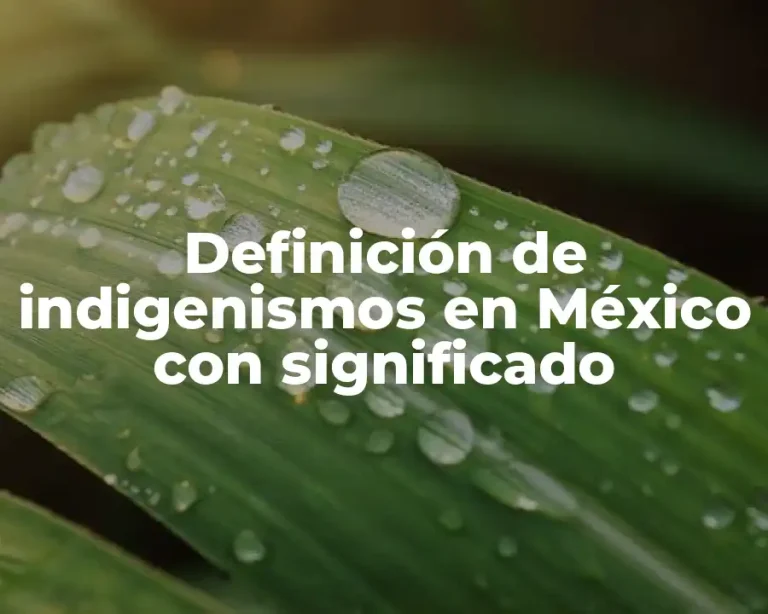 Definición de indigenismos en México con significado