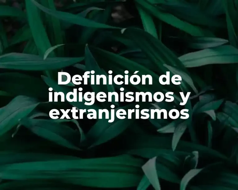 Definición de indigenismos y extranjerismos
