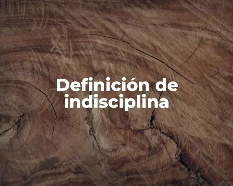 Definición de indisciplina