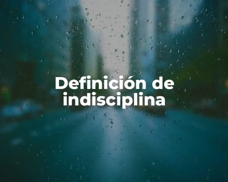 Definición de indisciplina