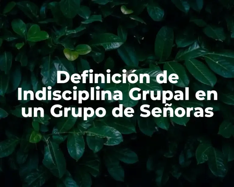Definición de Indisciplina Grupal en un Grupo de Señoras