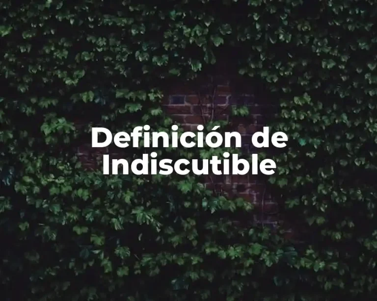 Definición de Indiscutible