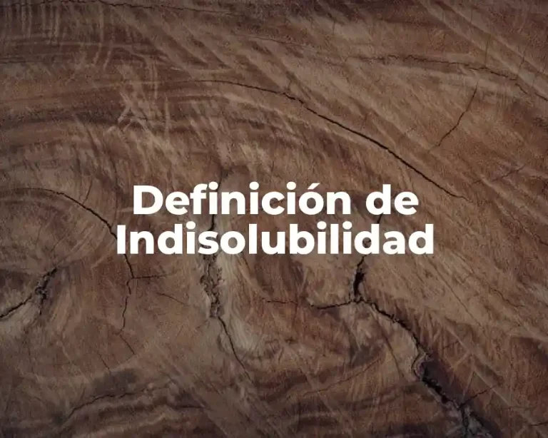 Definición de Indisolubilidad