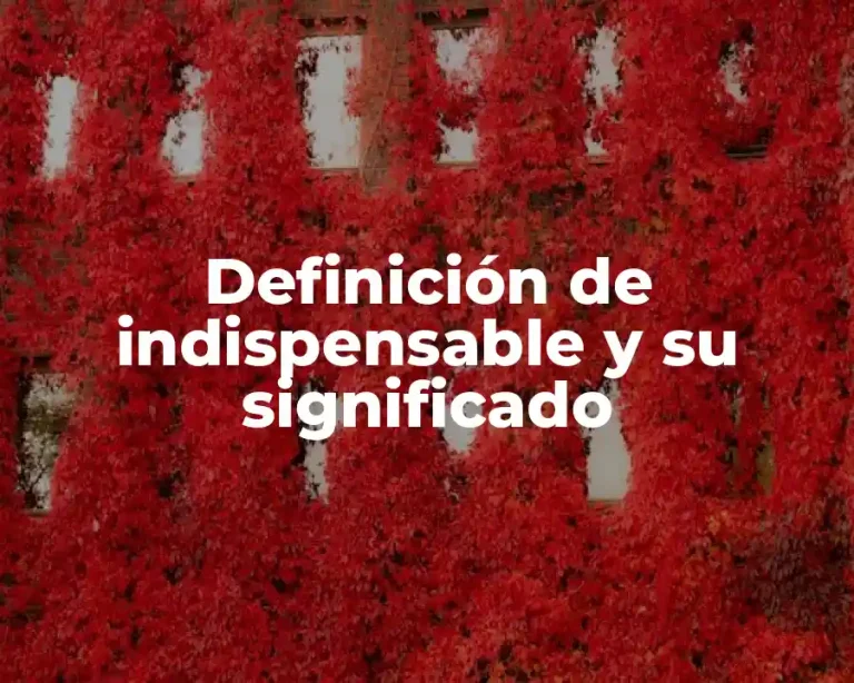 Definición de indispensable y su significado