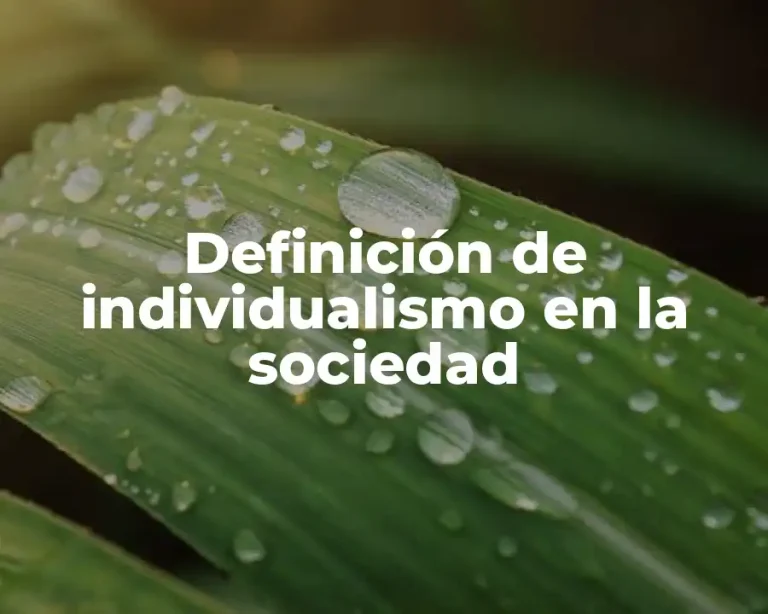 Definición de individualismo en la sociedad