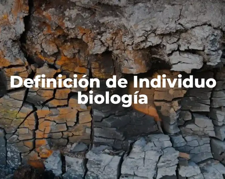 Definición de Individuo biología