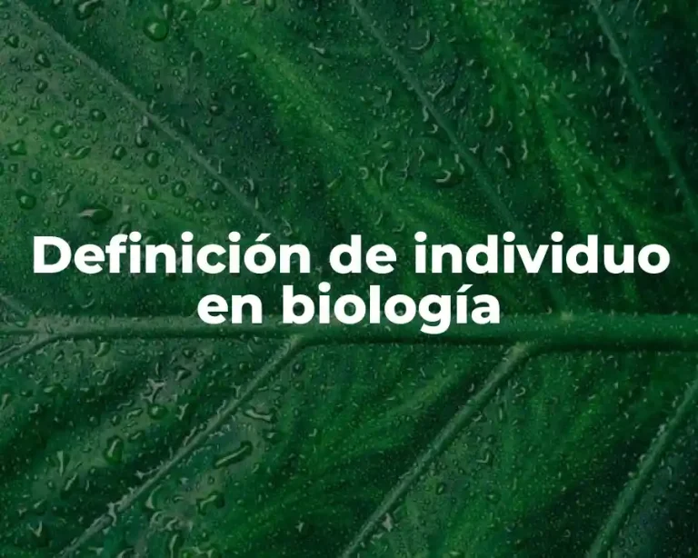 Definición de individuo en biología