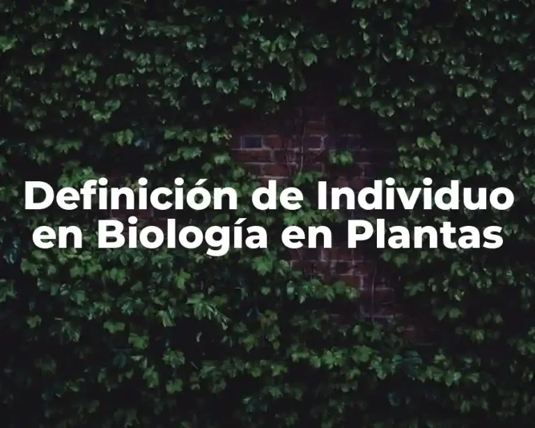 Definición de Individuo en Biología en Plantas