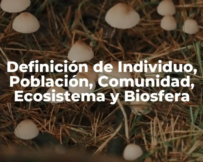 Definición de Individuo, Población, Comunidad, Ecosistema y Biosfera