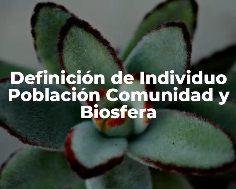 Definición de Individuo Población Comunidad y Biosfera