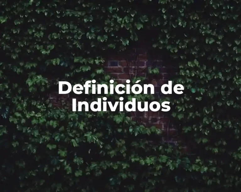 Definición de Individuos
