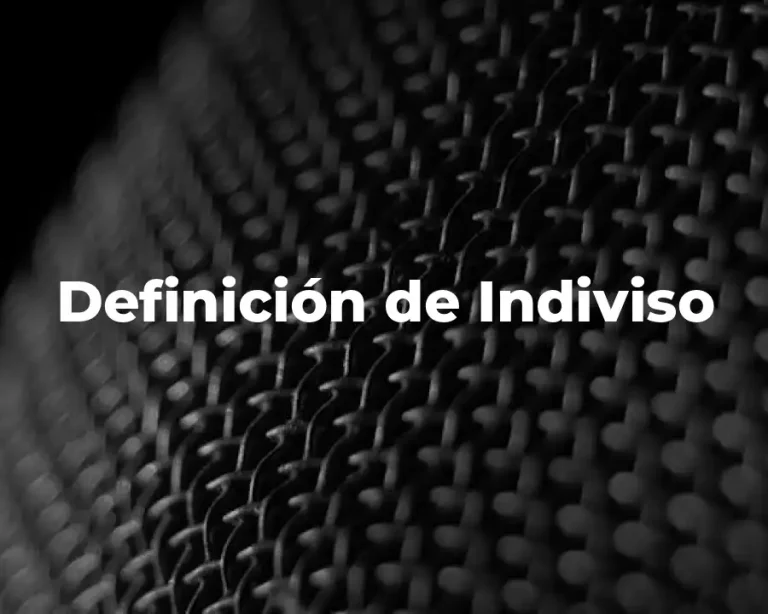 Definición de Indiviso
