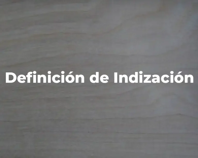 Definición de Indización