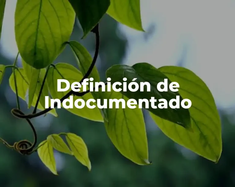 Definición de Indocumentado
