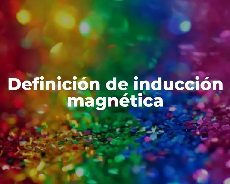 Definición de inducción magnética