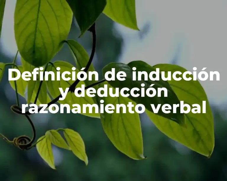 Definición de inducción y deducción razonamiento verbal