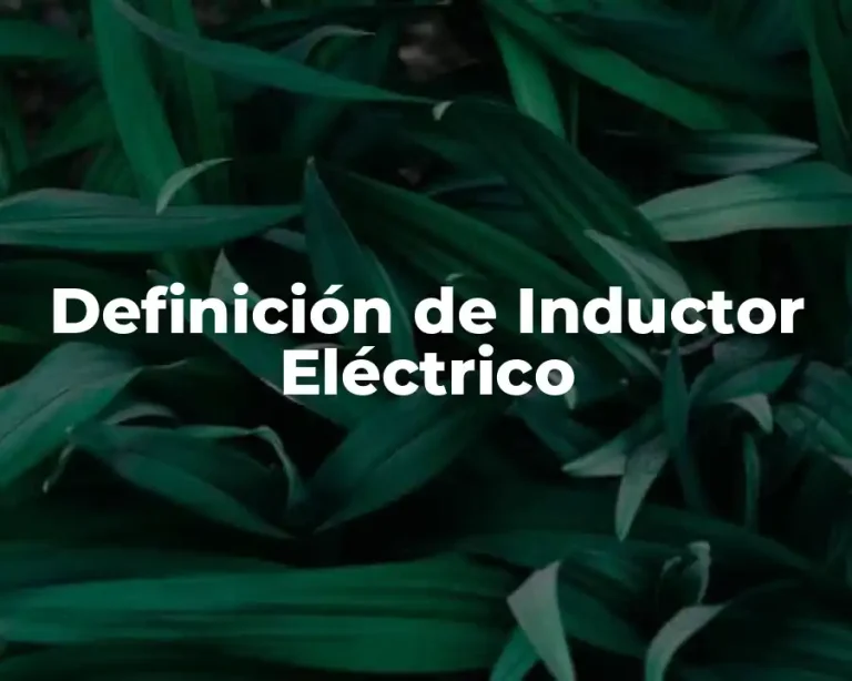 Definición de Inductor Eléctrico