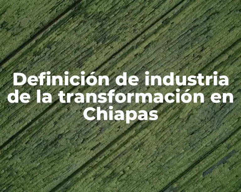 Definición de industria de la transformación en Chiapas