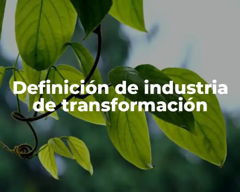 Definición de industria de transformación