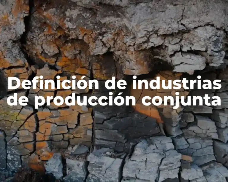 Definición de industrias de producción conjunta