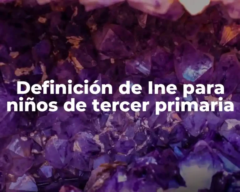 Definición de Ine para niños de tercer primaria