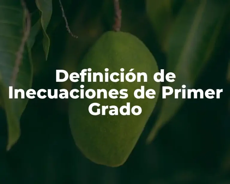 Definición de Inecuaciones de Primer Grado