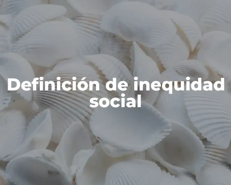 Definición de inequidad social