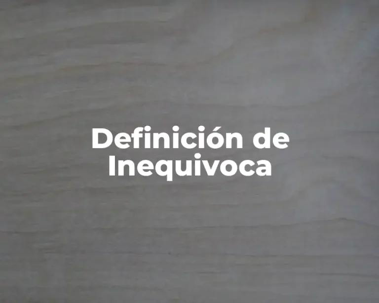 Definición de Inequivoca