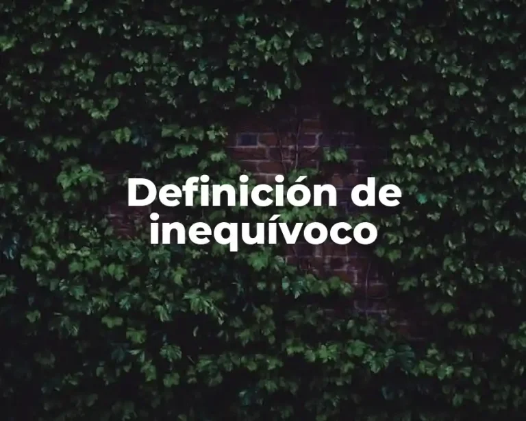 Definición de inequívoco