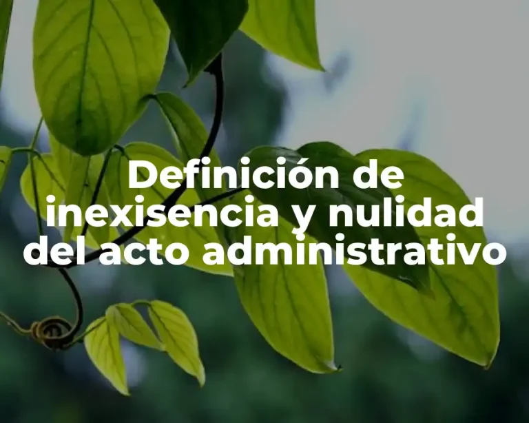 Definición de inexisencia y nulidad del acto administrativo