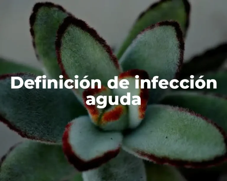 Definición de infección aguda